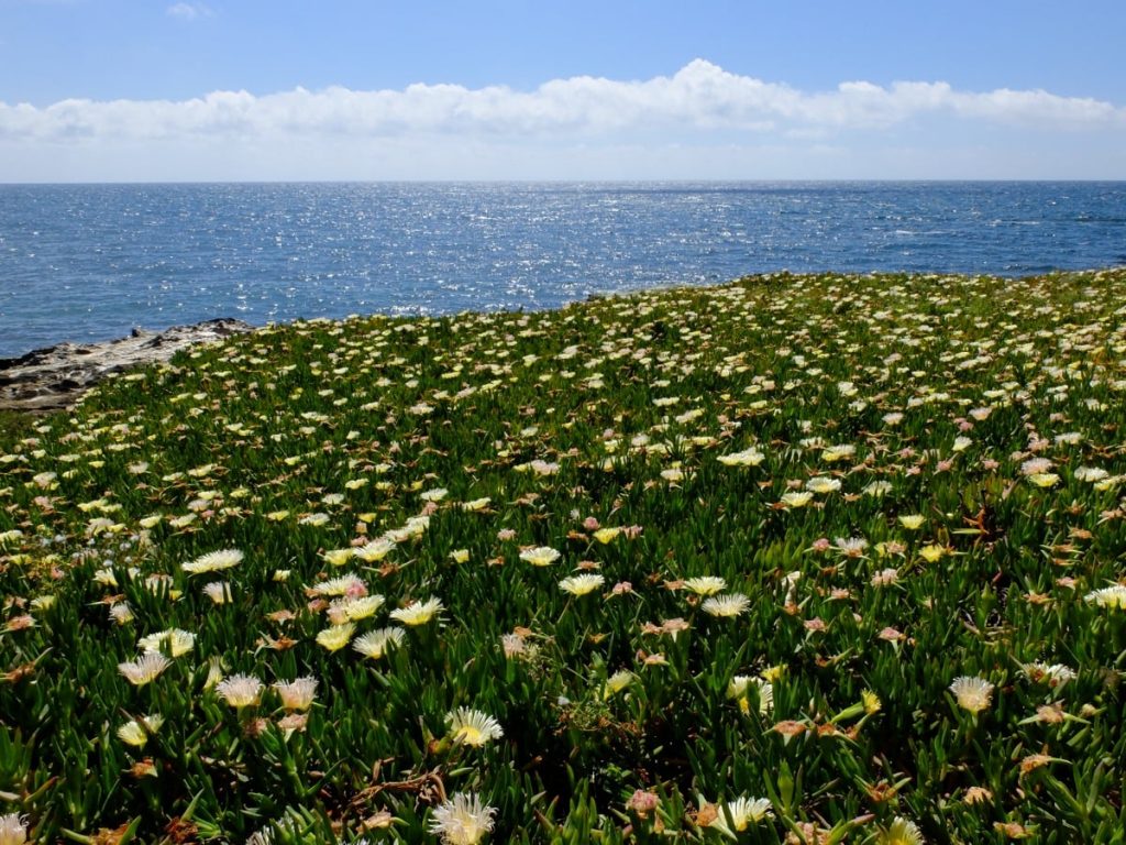 climate in sicily, weather in sicily, sicily, pollina, Can foreigners buy property in Sicily?, relocating to sicily
