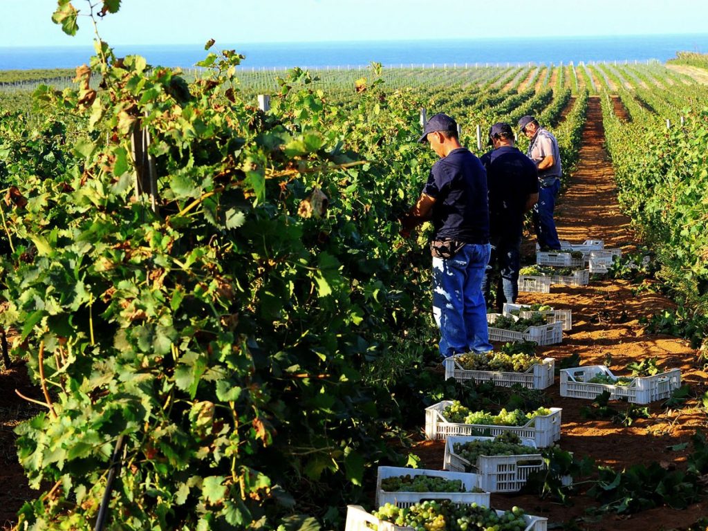 Investing in Sicily