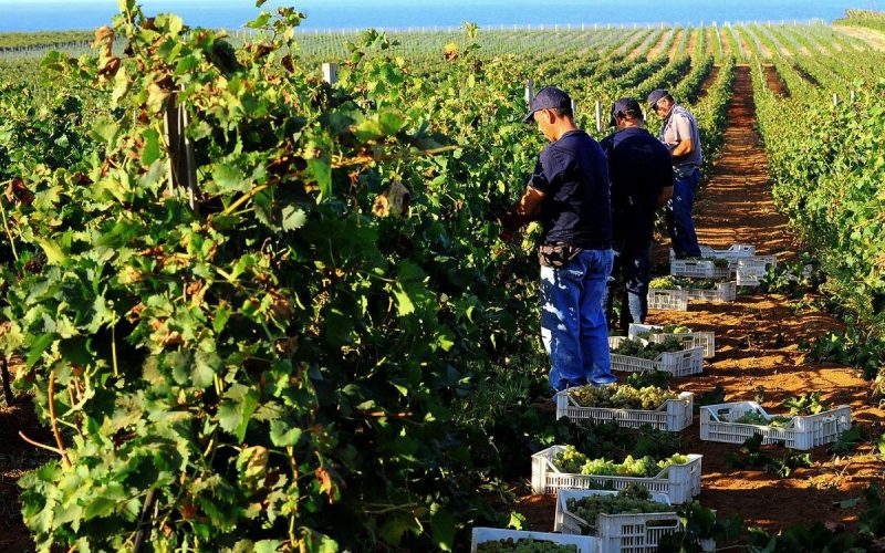 Investing In Sicily Investing in Sicily