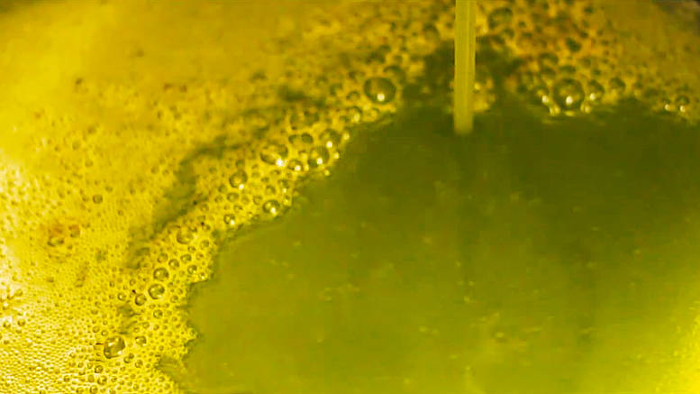 How To Make Traditional Sicilian Olive Oil How To Make Traditional Sicilian Olive Oil